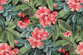 PK Lifestyles Darwin Flora Printed Cotton Twill Drapery Fabric in Noir
