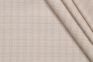 Sunbrella Surge Woven Solution Dyed Acrylic Outdoor Fabric in Ivory