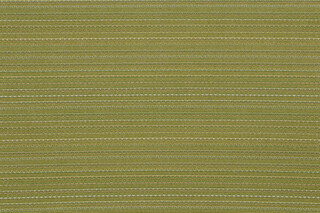 Richloom Solid Woven Olefin Outdoor Fabric in Olive 