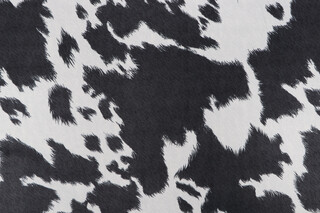 Covington Deja Moon Printed Velveteen Decorator Fabric in 903-Charcoal 
