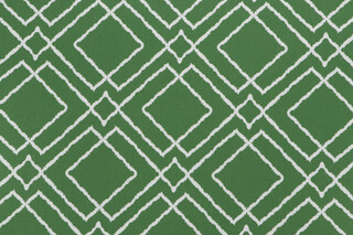 Covington Jacava Printed Cotton Drapery Fabric in 282-Lime 