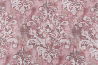 Covington Orleans Printed Cotton Blend Drapery Fabric in 704-Dusty Rose 