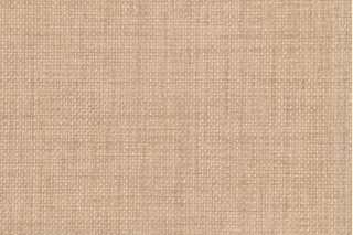 Richloom Rave Woven Polyester Outdoor Fabric in Sand