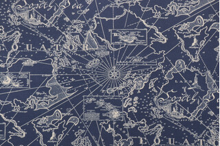 Tommy Bahama South Seas Printed Polyester Outdoor Fabric in Nautical