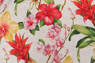 Covington Khaleesi Printed Linen Blend Drapery Fabric in 354-Fruit Punch 