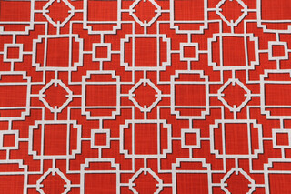 Covington Makura Printed Cotton Drapery Fabric in 318-Persimmon 