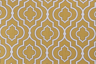 Mill Creek Donetta-Paramount Printed Cotton Drapery Fabric in Gold