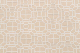 Bella Vista Damask Decorator Fabric in Cashew
