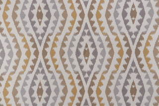 Anzea Horizon 2805-01 Woven Polyolefin Outdoor Fabric in Grand