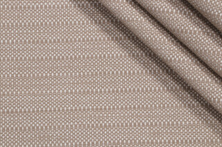 Momentum Mainland Woven Polyester Outdoor Fabric in Path 