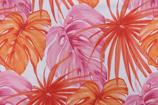 Hermosa Printed Drapery Fabric in Coral 