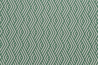 Pierre Frey Mani Woven Solution Dyed Acrylic Outdoor Fabric in Palmier