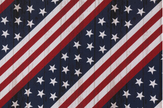 Richloom Major Printed Polyester Outdoor Fabric in Americana