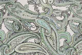 Southtree Paisley Printed Velvet Upholstery Fabric
