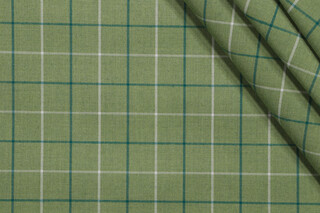 P Kaufmann Anchor Check Woven Polyester Indoor/Outdoor Fabric in Sprout 