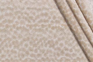 P Kaufmann Burnham Velvet Upholstery Fabric in Oyster 