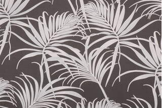 Premier Prints Cabrillo Printed Polyester Outdoor Fabric in Falcon Grey