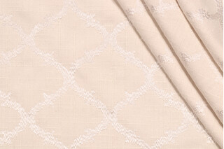 Richloom Koppel Embroidered Drapery Fabric in Ivory