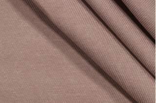 Richloom Jeldwen Woven Decorator Fabric in Aluminum