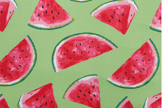Richloom Melon Printed Polyester Outdoor Fabric in Citrus