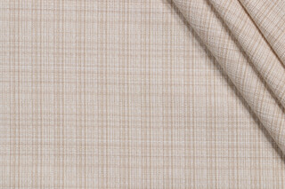 Sunbrella Sage Woven Solution Dyed Acrylic Outdoor Fabric in Ivory