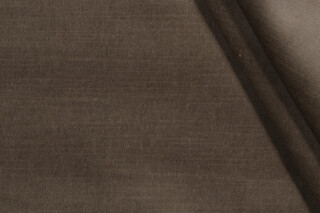 Warner Velvet Upholstery Fabric in Greystone