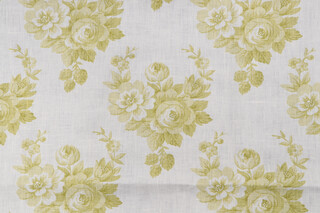 Scalamandre Printed Linen Drapery Fabric in Lime