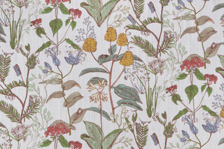 Lacefield Botanical Sketch Small Scale Printed Cotton Drapery Fabric in Multi