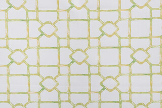 Covington Dvora Printed Polyester Outdoor Fabric in 282-Lime