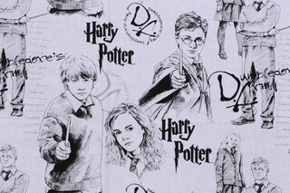 Harry Potter Licensed Mystery Of Magic Printed Cotton Craft Fabric