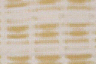 Hypnotize Woven Decorator Fabric in Citrine