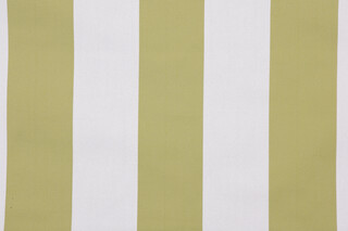 Outdura Kinzie Woven Solution Dyed Acrylic Outdoor Fabric in Basil 