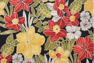 Richloom Clemens Printed Polyester Outdoor Fabric in Noir 