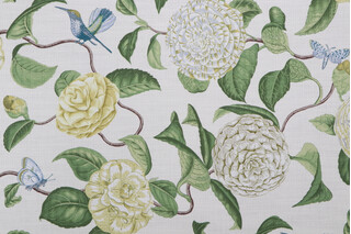 Kaufmann Camellia Printed Cotton Drapery Fabric in Oasis