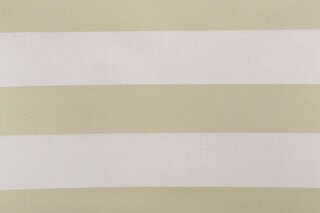 Sunbrella Chronicle Woven Solution Dyed Acrylic Outdoor Fabric in Aloe