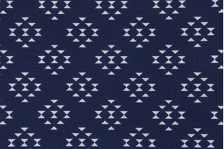 Richloom Dart Printed Polyester Outdoor Fabric in Nautical