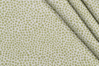 Covington New Dotify Woven Chenille Upholstery Fabric in 288-Pear