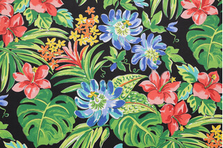 Belize Printed Polyester Outdoor Fabric in Black