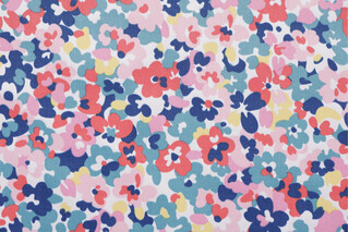 Richloom Cranston Printed Polyester Outdoor Fabric in Multi