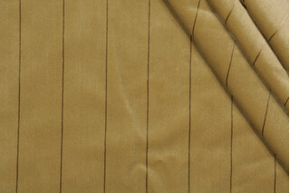 Velvet Upholstery Fabric in Olive