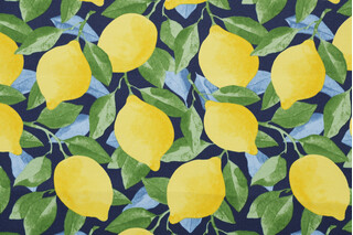 PK Lifestyles Lemon Printed Polyester Outdoor Fabric in Sapphire