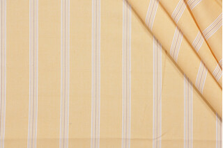 Fonthill Maine Woven Decorator Fabric in Harvest