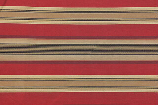 Birdie Stripe Woven Decorator Fabric in Jewel