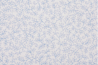 Scalamandre Printed Drapery Fabric in Sky Blue