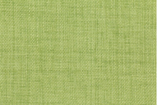 Richloom Rave Woven Polyester Outdoor Fabric in Lawn