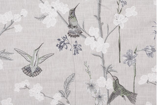 Swavelle/Mill Creek Hummingbird Garden Embroidered Drapery Fabric in Frost 