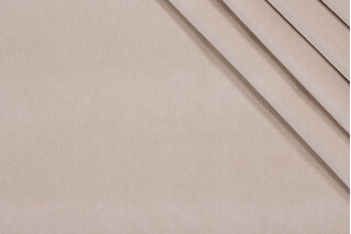 Banks Velvet Upholstery Fabric in Organza