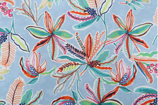 Waverly Sunny Daze Printed Polyester Outdoor Fabric in Sky