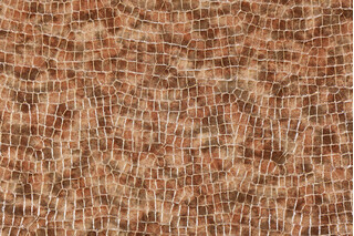 Scalamandre Serpent Vinyl Upholstery Fabric in Camel