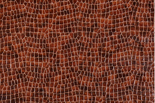 Scalamandre Serpent Vinyl Upholstery Fabric in Canyon